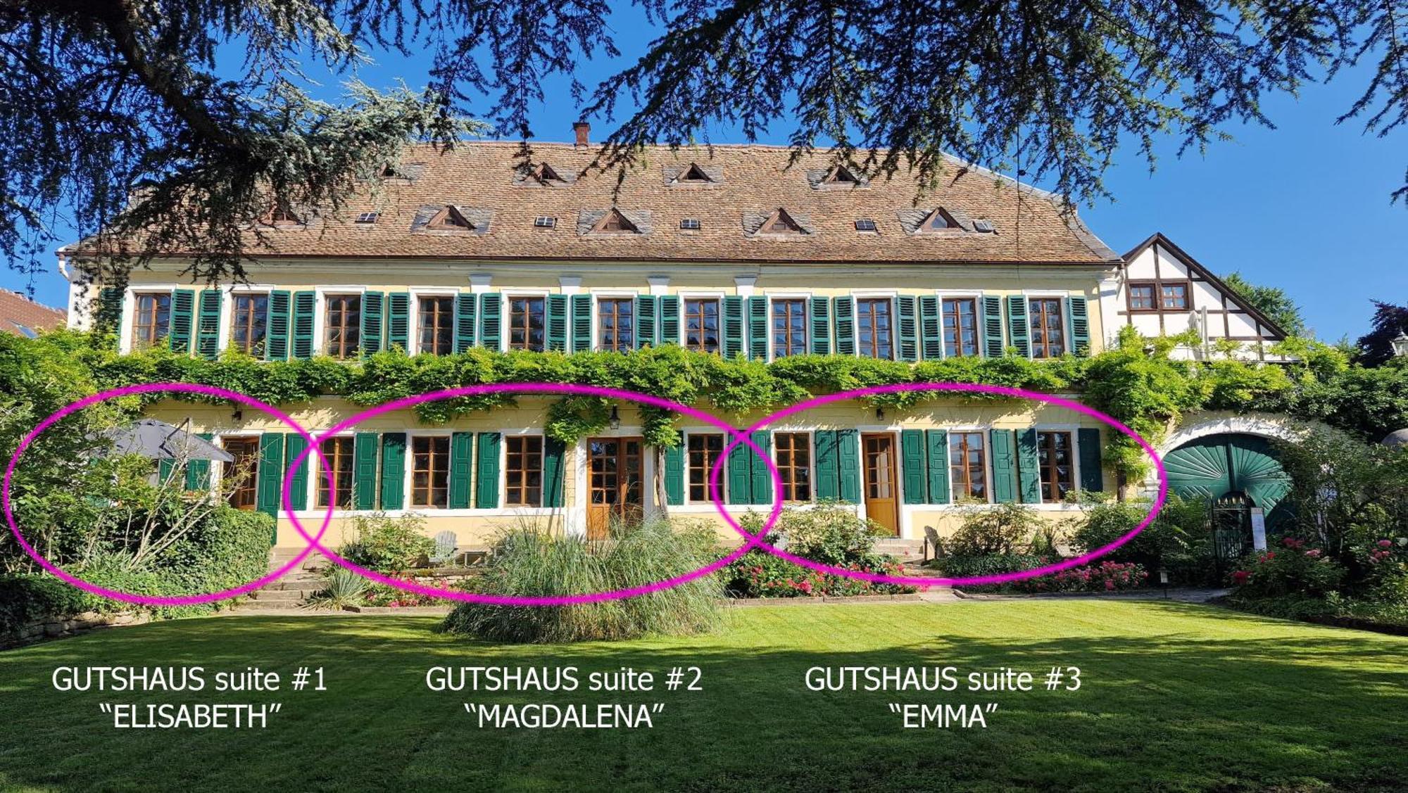 Unterkunft Im Weingut Fitz-Ritter Bad Dürkheim Dış mekan fotoğraf