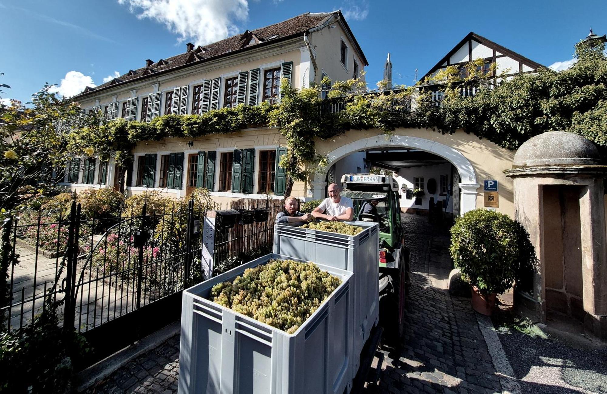Unterkunft Im Weingut Fitz-Ritter Bad Dürkheim Dış mekan fotoğraf
